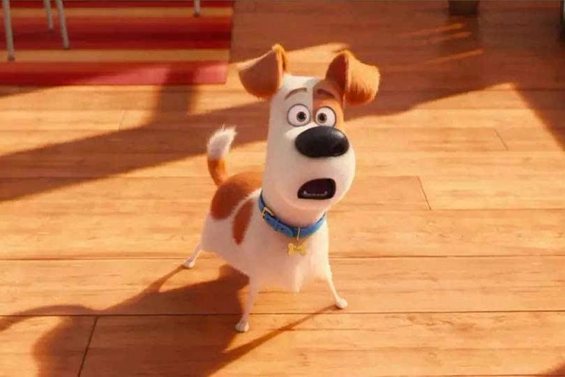 《爱宠大机密2》，一场新的宠物冒险，探索人宠之间的复杂感情