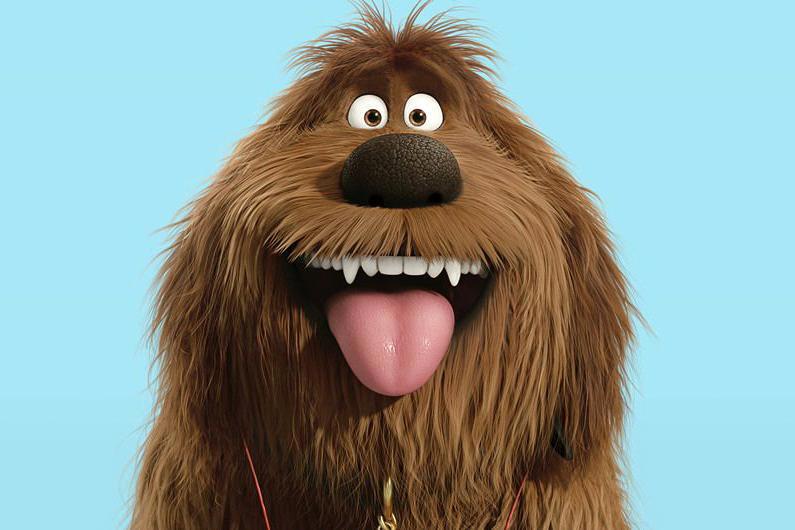 《爱宠大机密2》，一场新的宠物冒险，探索人宠之间的复杂感情