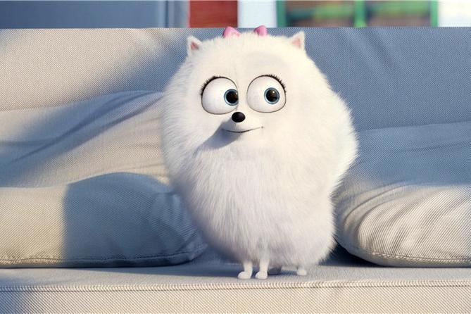 《爱宠大机密2》，一场新的宠物冒险，探索人宠之间的复杂感情