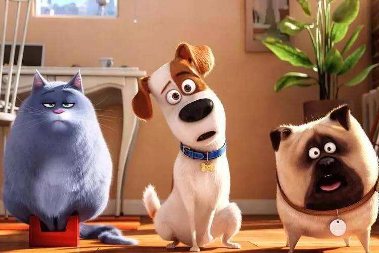 《爱宠大机密2》，一场新的宠物冒险，探索人宠之间的复杂感情