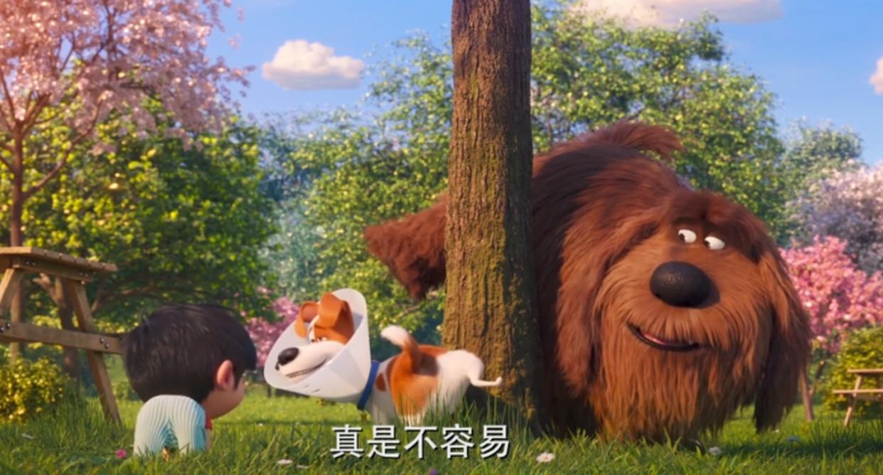 爱宠大机密2：动漫上映没多久就凉了，宝岛不见的镜头正好撞枪口