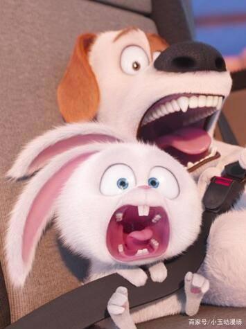 《爱宠大机密》萌宠大集结，萌你一脸血