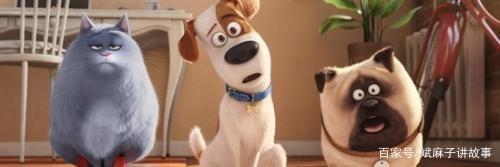 《爱宠大机密》与《玩具总动员》的相似之处