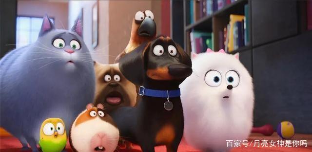 《爱宠大机密》：治愈系动画，你的宠物在想什么？