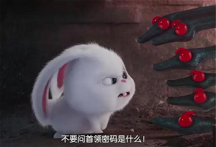 爱宠大机密：最出彩的不是主角，而是只兔子？还不是反差萌惹的祸