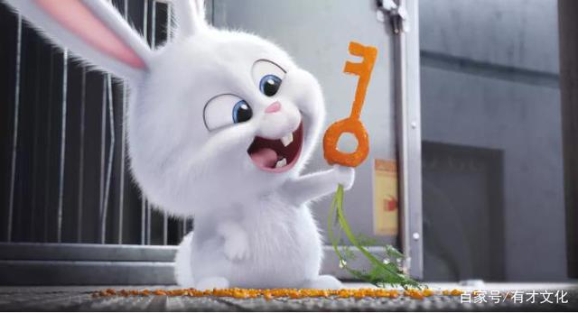 萌出水的动画电影——《爱宠大机密》