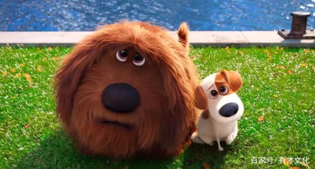 萌出水的动画电影——《爱宠大机密》