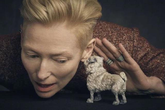 影向标：年度十佳，萌我一脸血