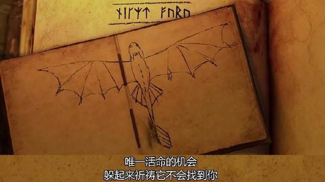 无牙仔之于hiccup，流浪猫狗之于我们丨电影推荐