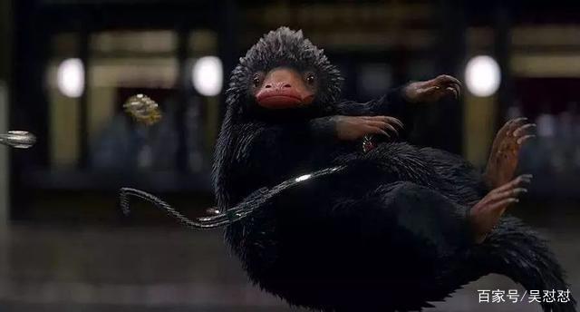 快放开那只皮卡丘