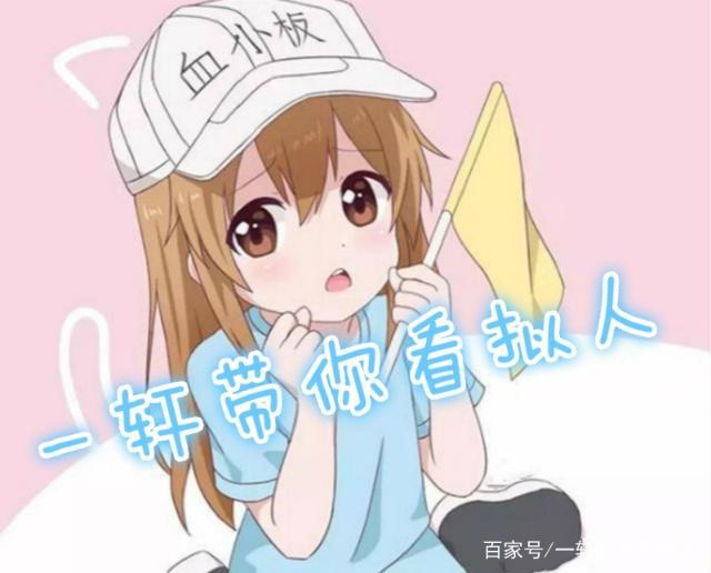 精灵宝可梦拟人化，椰蛋树变成任性巨婴，美丽花充满桑巴热情！