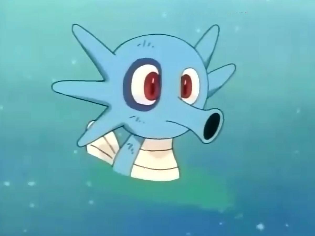 精灵宝可梦：小霞在动画中收服的宝可梦，基本算是捡来的