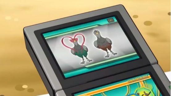 《精灵宝可梦》，那些拥有心形标记的精灵，你认得出来吗？