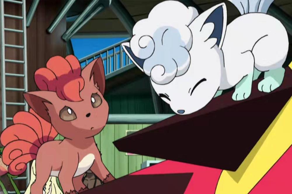 精灵宝可梦：阿罗拉形态神奇宝贝，与普通相比，果然都营养丰富