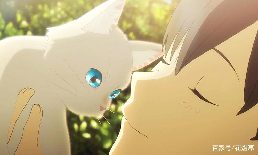 《想哭的我戴上了猫的面具》：不过是逃避生活的方式