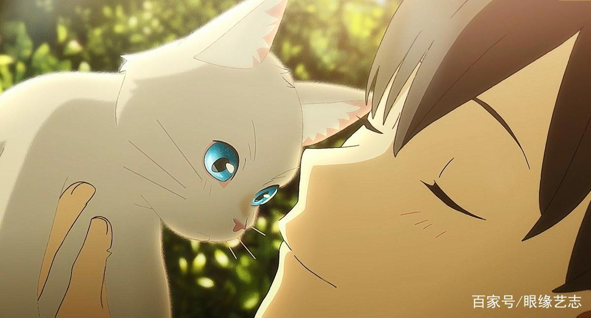 想哭的我戴上了猫的面具：又见治愈日漫，你的那只猫在哪里？