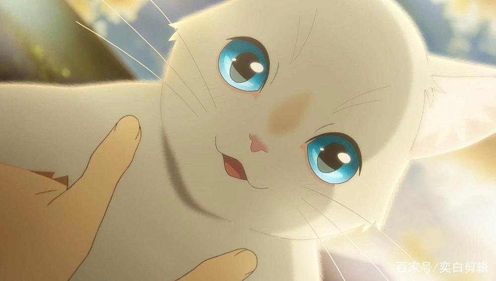 《想哭的我戴上了猫的面具》愿你的每一段感情，都能被真诚以待