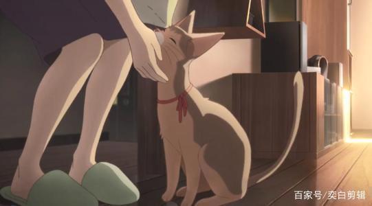 《想哭的我戴上了猫的面具》愿你的每一段感情，都能被真诚以待