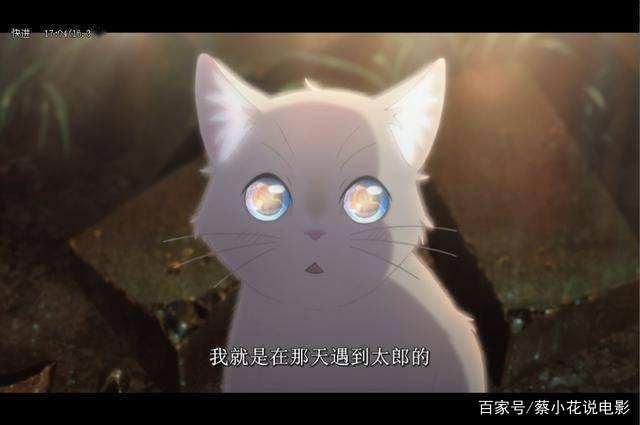 扑街，翻译生硬，情节老套，《想哭的我戴上了猫的面具》怎么回事