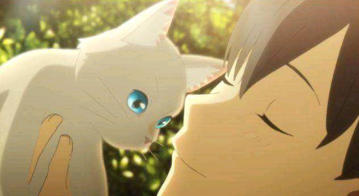 扑街，翻译生硬，情节老套，《想哭的我戴上了猫的面具》怎么回事