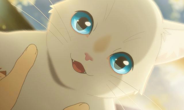 《想哭的我戴上了猫的面具》：这么纯情浪漫的电影，看得我想哭