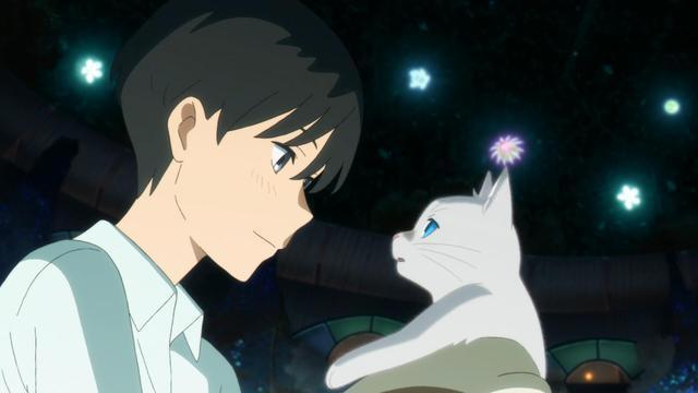 浅析动画《想哭泣的我戴上了猫的面具》情感戏，你有Get到吗？