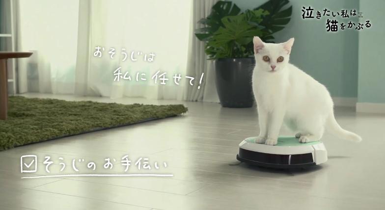超可爱！《想哭的我戴上了猫的面具》推出真猫版宣传片