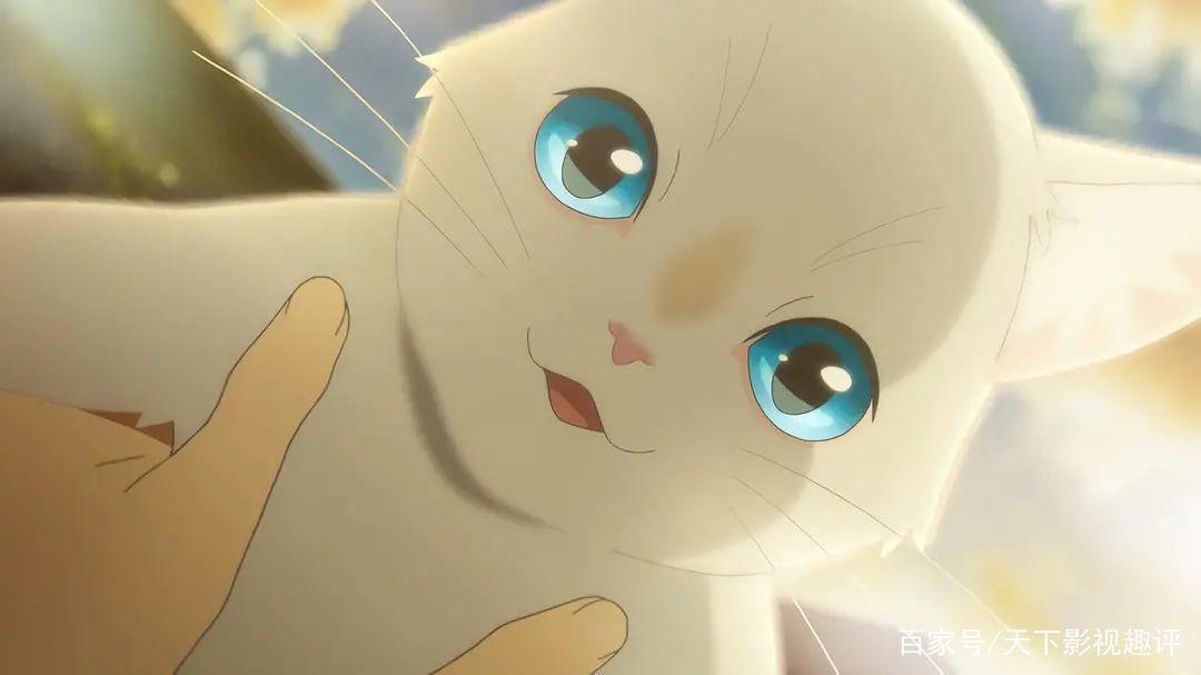 《想哭的我戴上了猫的面具》——好看！特别可爱又治愈