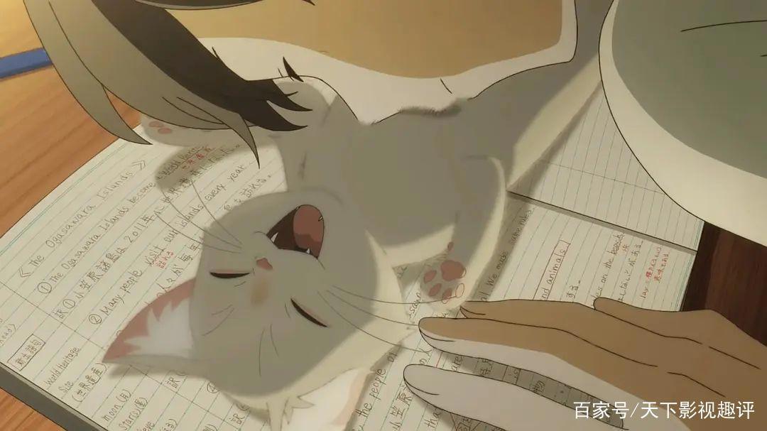 《想哭的我戴上了猫的面具》——好看！特别可爱又治愈