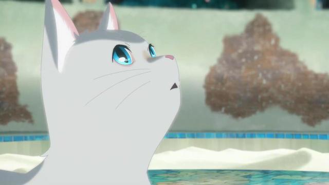 6月上映，冈妈制药？电影《想哭的我戴上猫面具》，都给爷哭！