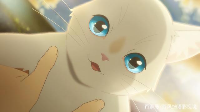 治愈动画电影《想哭的我戴上了猫的面具》强颜欢笑有错吗？