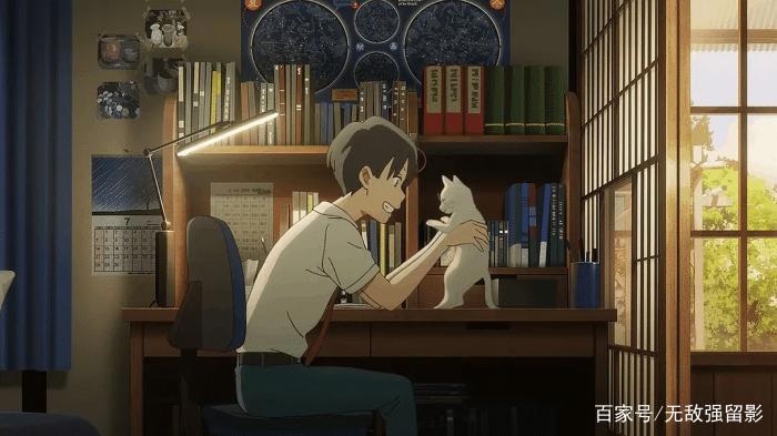 想哭的我戴上了猫的面具：愿你我都拥有阳光，得到心爱之人的宠爱