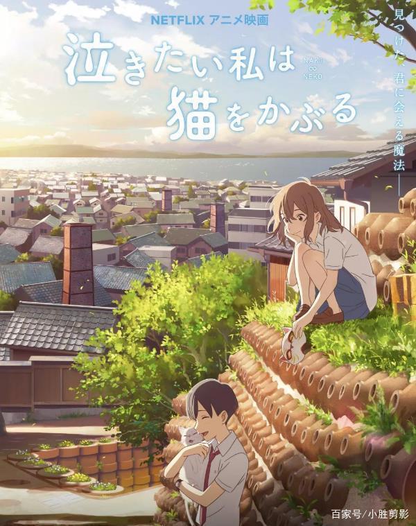 治愈动画《想哭的我戴上了猫的面具》，纯情浪漫电影