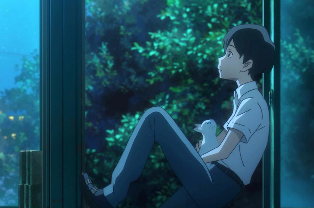 想哭的我带上了猫的面具：爱需要付出，更需要勇敢去追寻