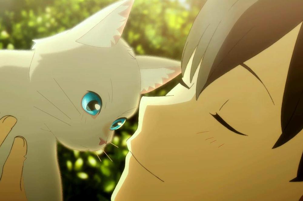 想哭的我带上了猫的面具：爱需要付出，更需要勇敢去追寻