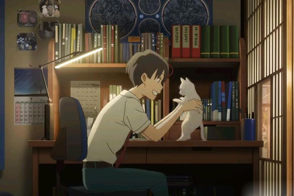 想哭的我带上了猫的面具：爱需要付出，更需要勇敢去追寻