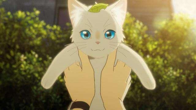 《想哭的我戴上了猫的面具》每个人都是独一无二的存在