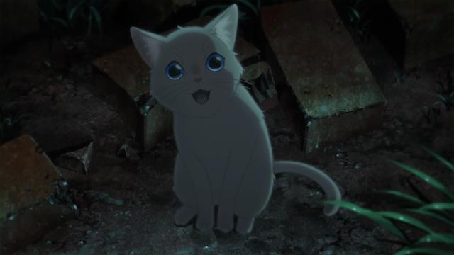 催泪新作《想哭的我戴上了猫的面具》，虚假的快乐只会压垮自己！