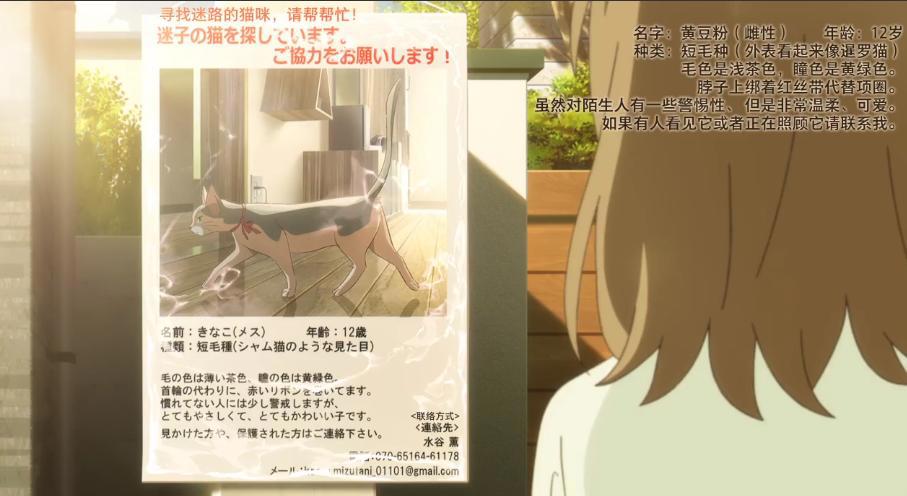 《想哭泣的我戴上了猫面具》，平凡却又让人感动