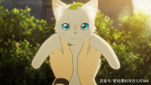 《想哭的我戴上了猫的面具》动漫推荐与评析