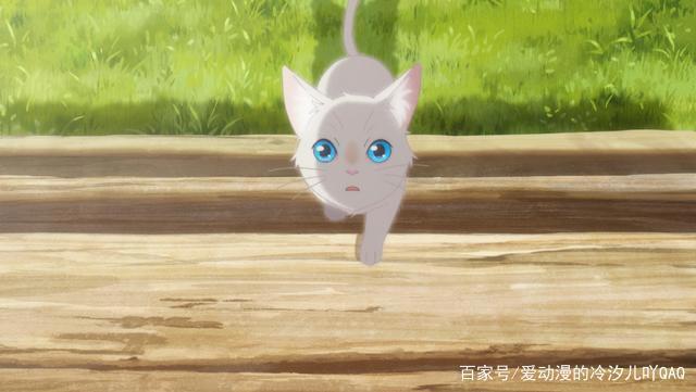 《想哭的我戴上了猫的面具》动漫推荐与评析