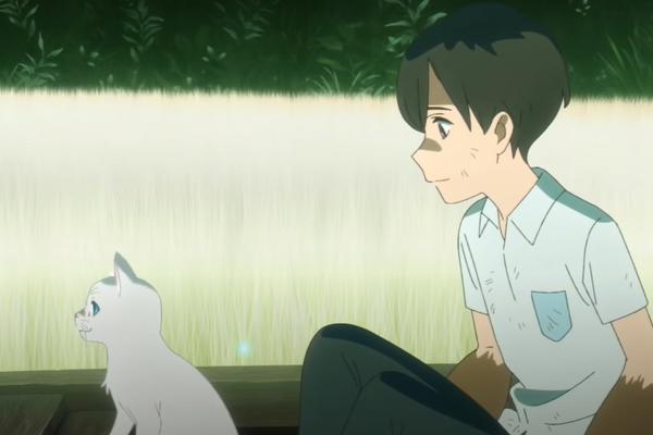 想哭的我戴上了猫的面具：未闻花名作者新作，少女为爱情变成了猫