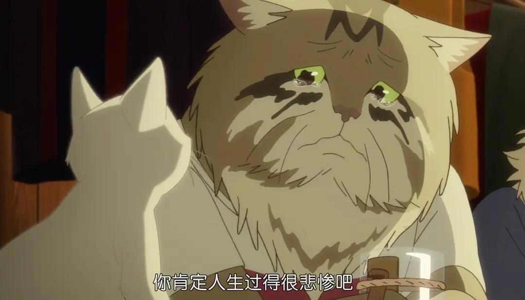 《想哭的我戴上了猫的面具》——让人略显失望的作品