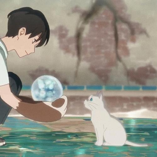 《想哭的我戴上了猫的面具》：不要轻易放弃当人的机会