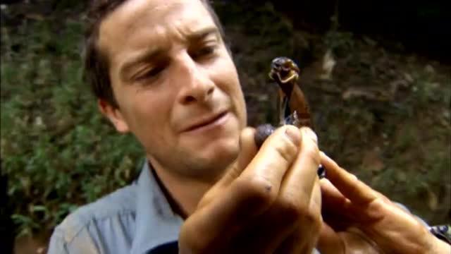 7月最奇妙又搞笑的沙雕科普动画，各种撒娇反差萌，令人捧腹