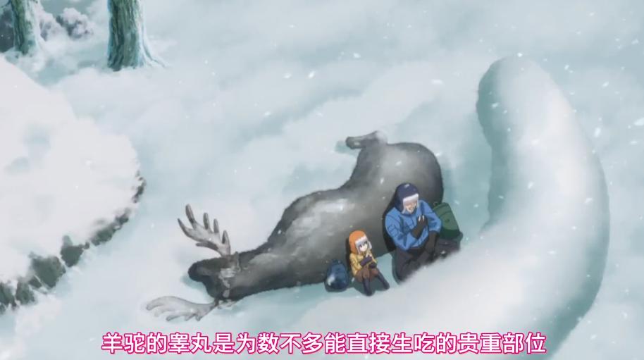 你遭难了吗：超硬核的美少女野外生存新番，女版贝爷的诞生？
