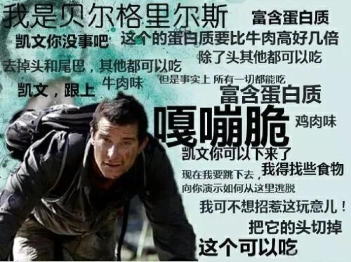 A站独播人气新番：你遭难了吗？MAMA再也不用担心我活不下去了