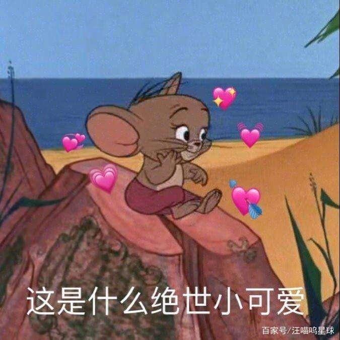 盘点动漫里的萌宠原型，你了解过哪些？