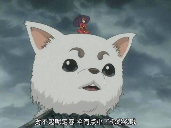 动漫中的少女与狗，如果狗子不能骑，那养它还有何用