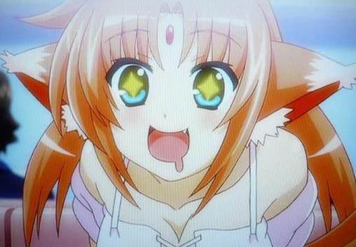 娇憨狡黠盘点动漫中的“犬耳娘”角色！